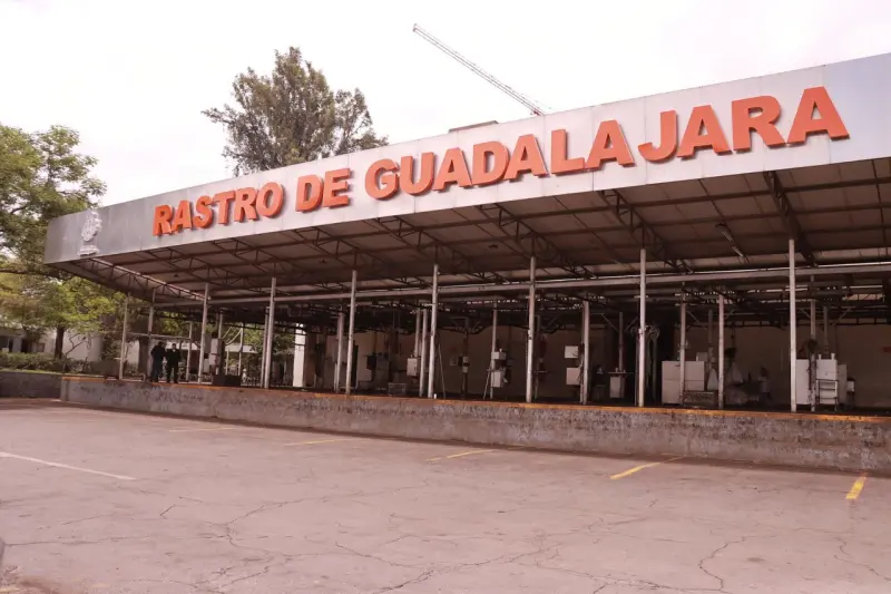 Recertifican rastro de Guadalajara en bienestar animal a nivel global