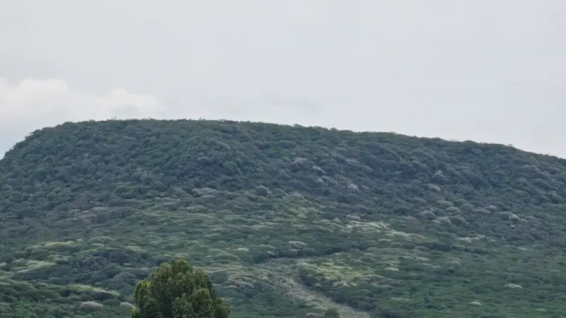 Se mantendrá protección de Peña Colorada, asegura Gobierno estatal