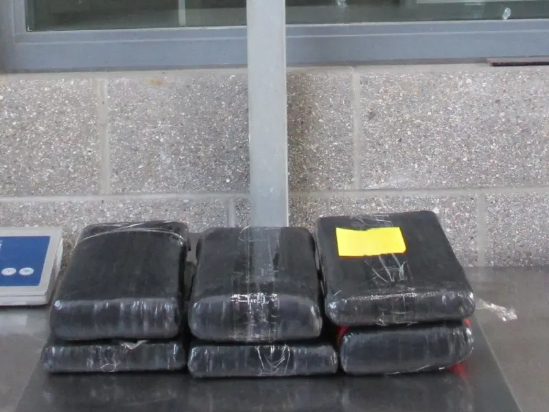 Decomisan casi 60 kilos de drogas en garita de San Ysidro y Calexico