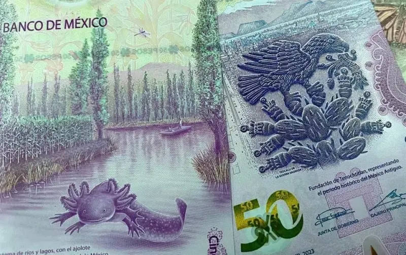 Avalan que pequeños comercios reciban depósitos de $132 mil