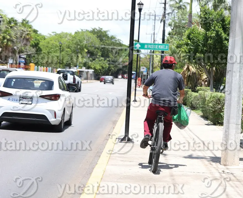 Advierten que la cultura vial en Yucatán prioriza al automóvil: en riesgo peatones y ciclistas