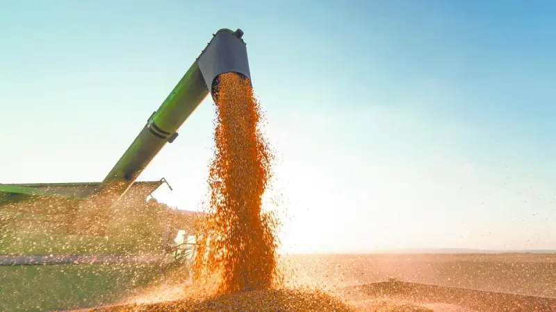 Soya, trigo y maíz, subieron en la Bolsa de Comercio de Chicago