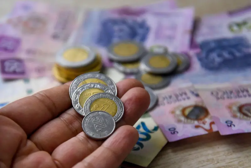 Federalismo: vitamina para el desarrollo