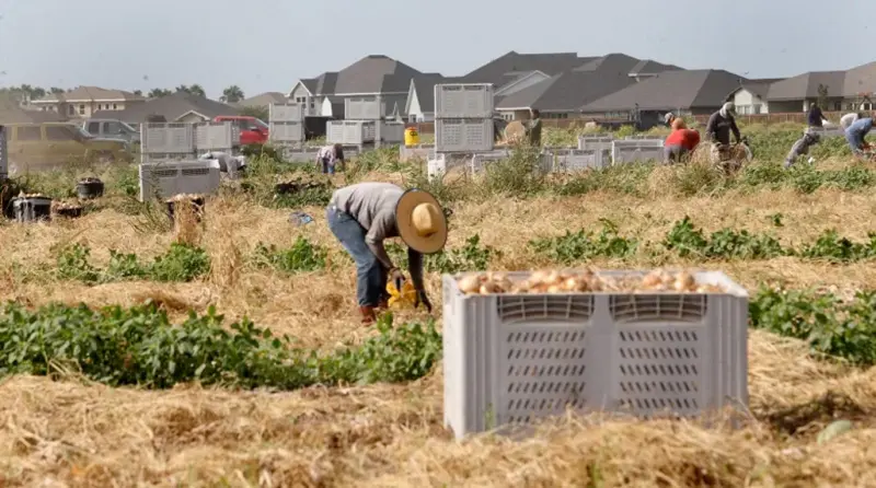 El precio de la agricultura en Texas