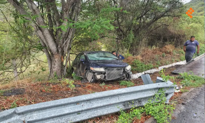 Choca automóvil contra árbol en la Chilpancingo-Zumpango; 2 lesionados