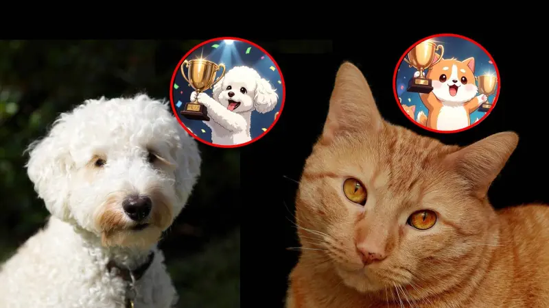 ¿Quiénes son más inteligentes: los perros o los gatos? Esto dice la ciencia