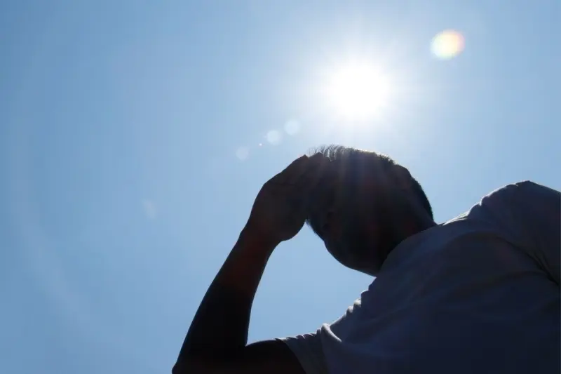 Querétaro contra las ‘islas de calor’: Lanzan campaña para sembrar árboles