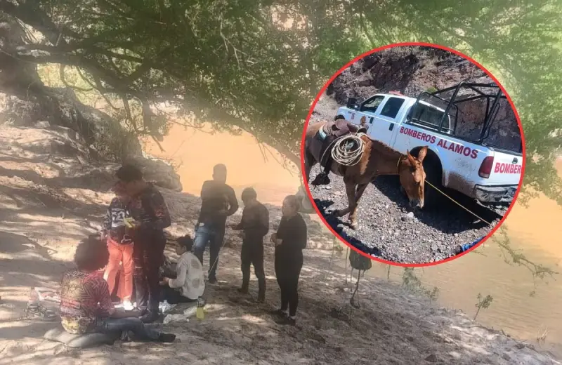 Ubican a grupo de personas que quedaron incomunicadas en la sierra de Álamos