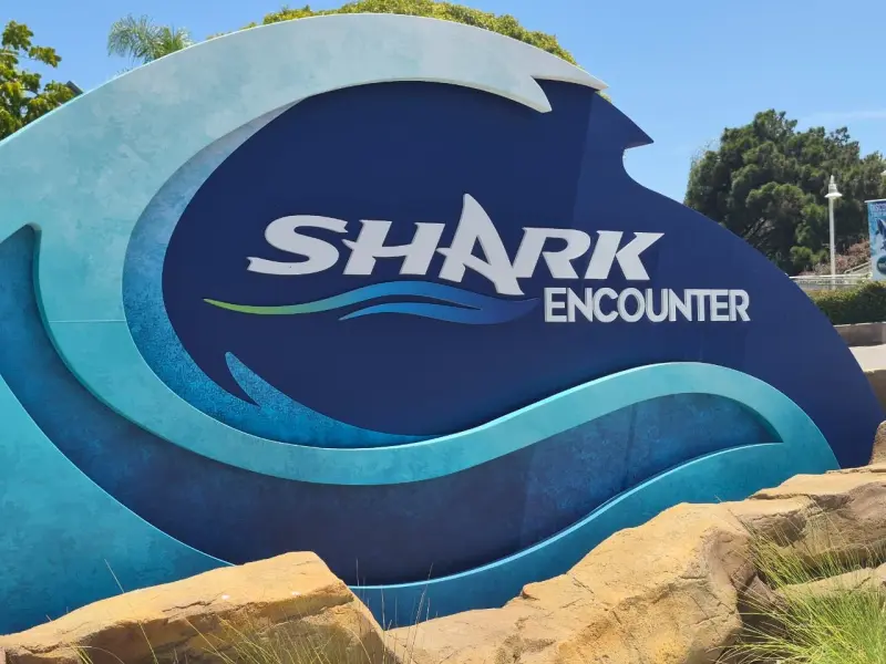 Sumérgete entre 11 especies de tiburones en el Shark Encounter de SeaWorld de San Diego
