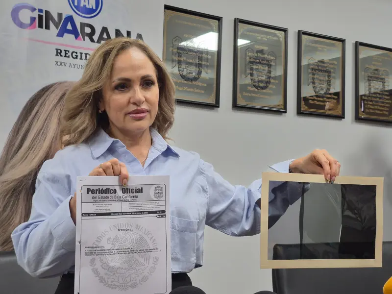 En Tijuana ya se permitirá polarizados que no oculten el interior de los vehículos
