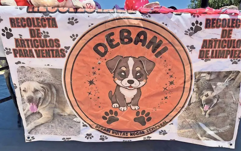 Organizan venta y reúnen croquetas en apoyo a ‘lomitos’
