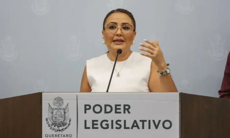 Propone Díaz Gayou alianzas con iniciativa privada para frenar fallos en emprendimientos de mujeres 