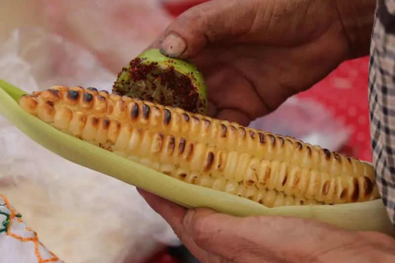 Festival del Elote y del Esquite 2026 en Querétaro: ¿cómo registrarme para vender?