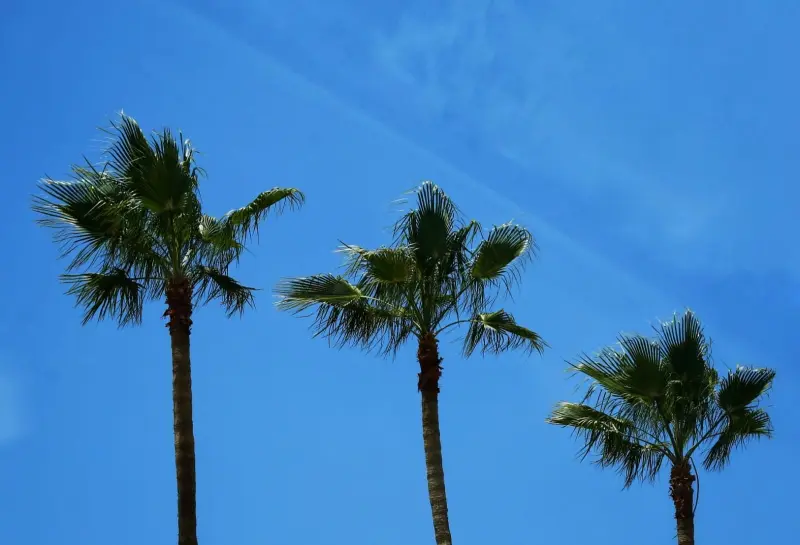 Arranca ola de calor en Mexicali; prevén temperaturas superiores a 42 grados