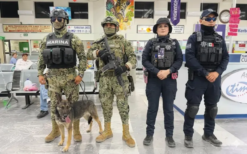 Sya, la agente canina de la Marina que apoya en operativos de seguridad en Cajeme