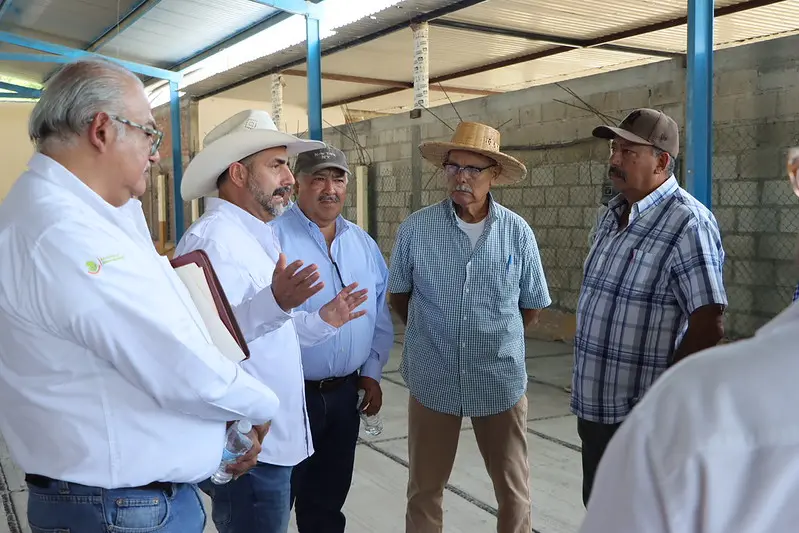 Jalisco invierte 3.4 mdp para blindar cultivos de plátano, coco y mango