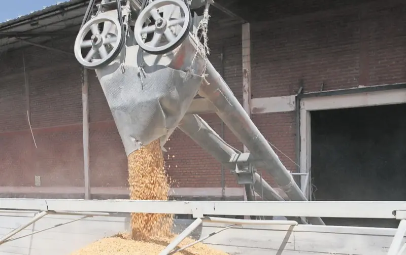Temen azote ‘Súper Niño’ la producción en el campo
