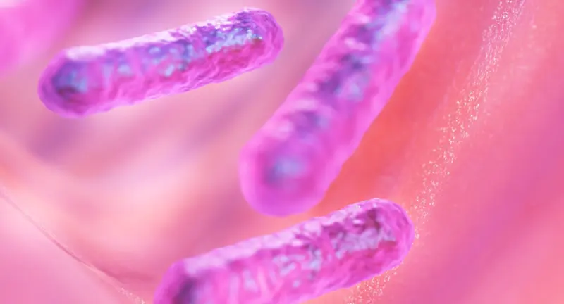 Probióticos: una herramienta poderosa para la salud digestiva y metabólica