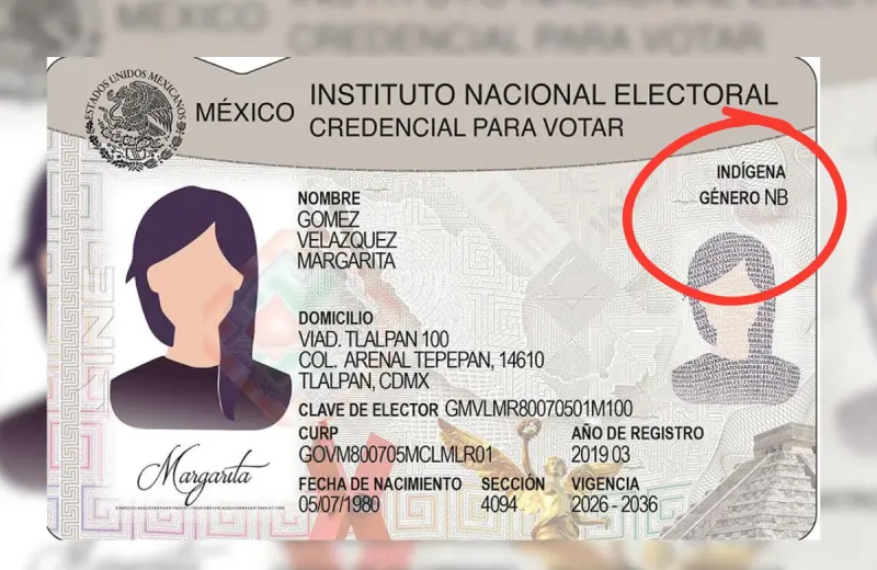Ya es oficial: nueva credencial del INE permitirá incluir identidad de género y autoadscripción indígena
