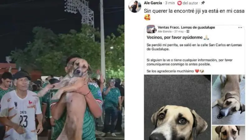 El milagro de Tamaulipas: Se perdió su perrita, pero los festejos de la Selección Mexicana la ayudaron a encontrarla
