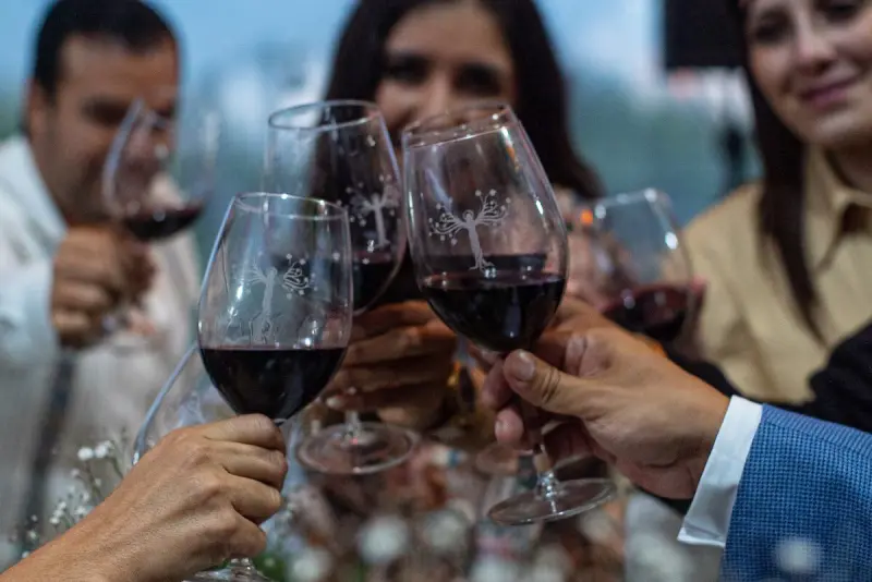 ¿Dónde vivir las Vendimias 2026? Guanajuato tendrá vino, música, catas y pisado de uva