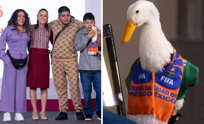 Merlín, el pato, llega a la “mañanera” de Sheinbaum