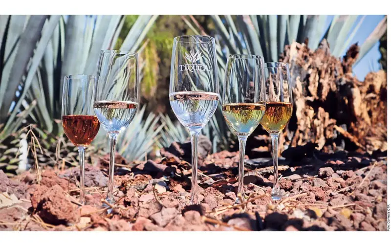 Dan ‘Hecho en México’ a 23 tequileras