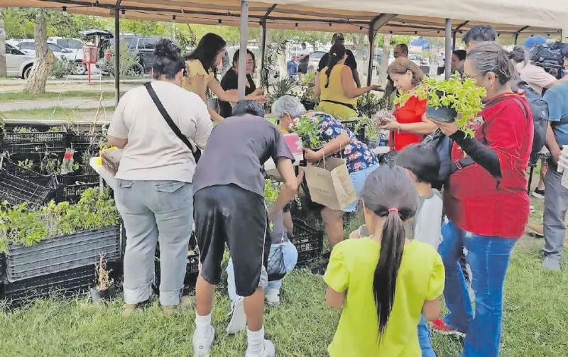 Regresa el ‘Plantatón’ para reverdecer la ciudad