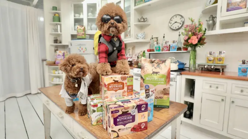 El negocio más perrón de México: la exportación de alimento para mascotas crece 7.5 veces