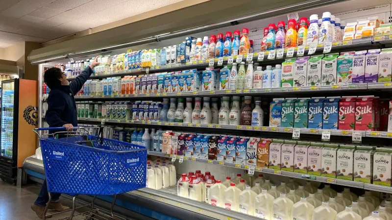 Mexicanos consumen 124 litros de leche por persona al año, por debajo del nivel recomendado: FAO