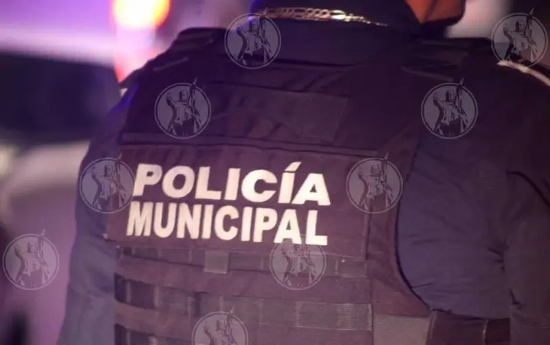Ilustra Chihuahua patrón de violencia y baja escolaridad