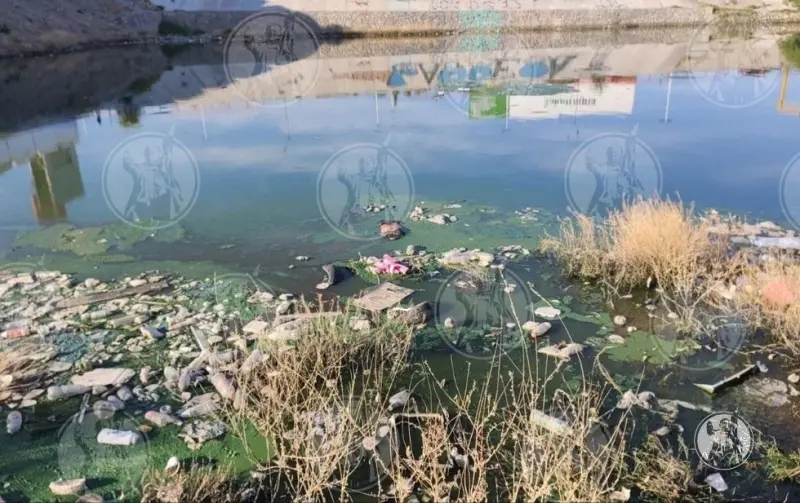 Localizan cadáver en vaso de captación sobre el bulevar Zaragoza