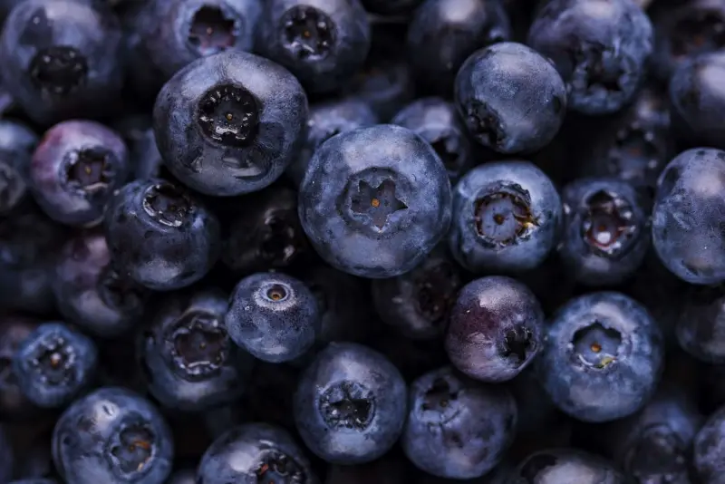 El poder del açaí: antioxidantes, microbiota y el nuevo culto al bienestar