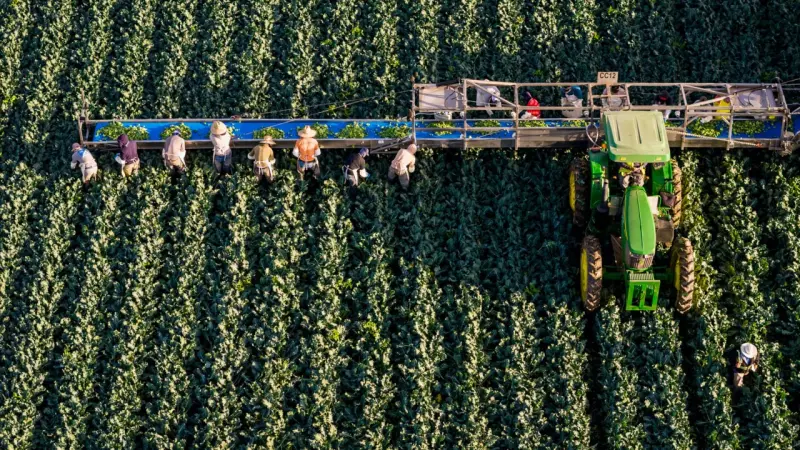 Trabajo forzoso y migración laboral elevan riesgo comercial del agro en T-MEC