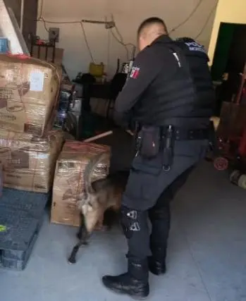 Binomio canino halla droga en la Central de Autobuses de Monterrey