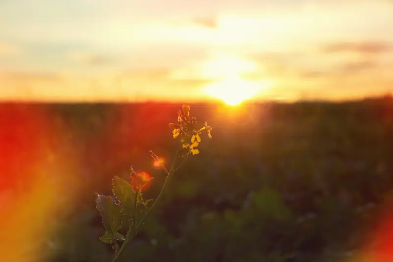 Solsticio de verano: 3 creencias alrededor de este evento astronómico