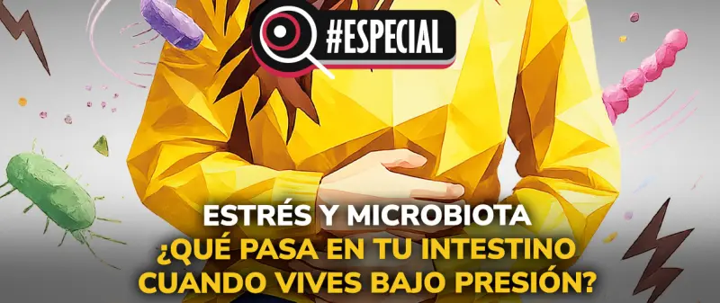Estrés y microbiota. ¿Qué pasa en tu intestino cuando vives bajo presión?