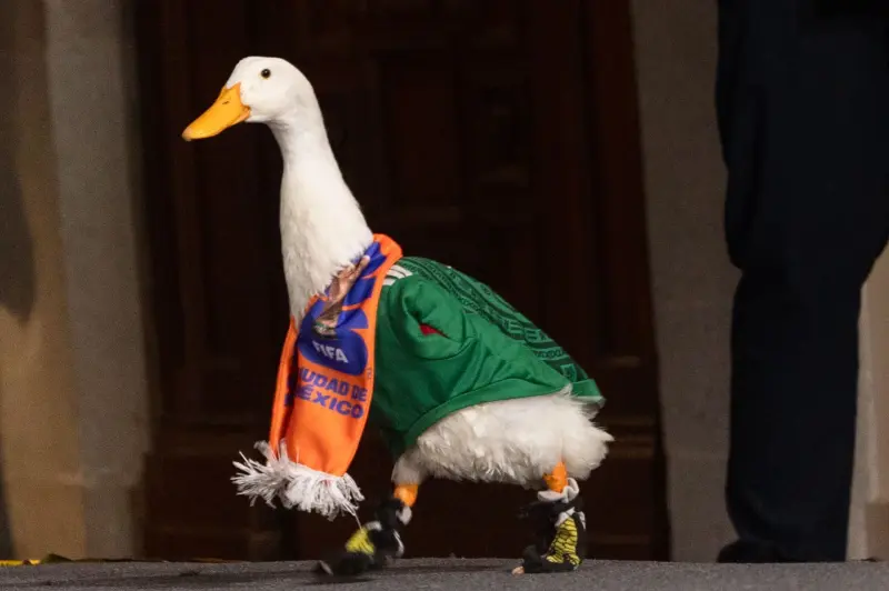 El pato Merlín en Palacio Nacional