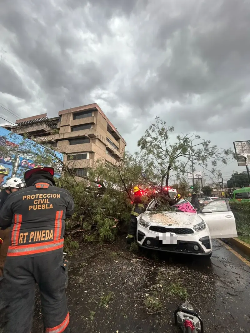 Lluvias colapsan vialidades en Puebla; hay un muerto por caída de árbol