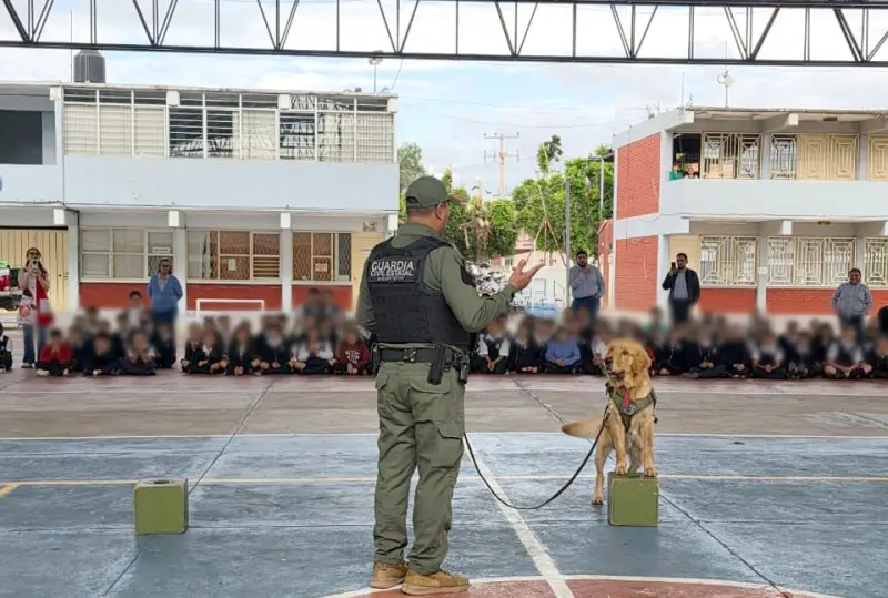 Lomitos de la GCE enseñan valores a más de 470 estudiantes