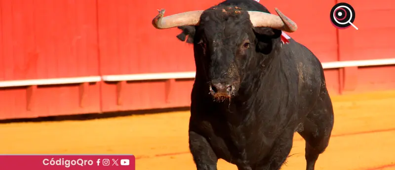 Jueza otorga suspensión provisional de corrida de toros en SJR