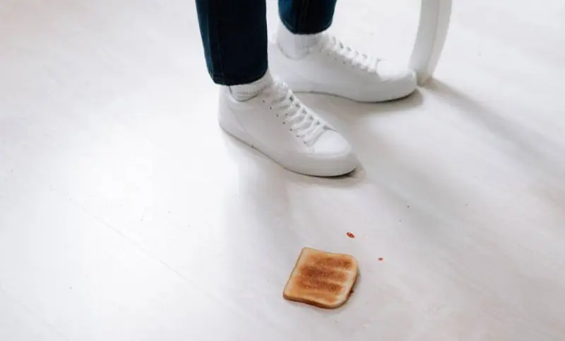 Desmienten la regla de los 5 segundos en alimentos que caen al suelo