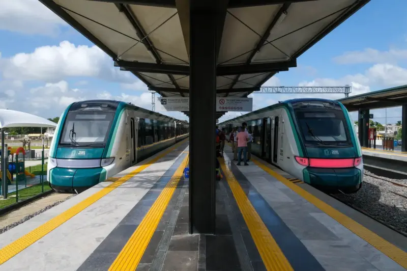 Carretera ilegal cerca del Tren Maya amenaza uno de los mayores acuíferos del mundo: SélvameMX