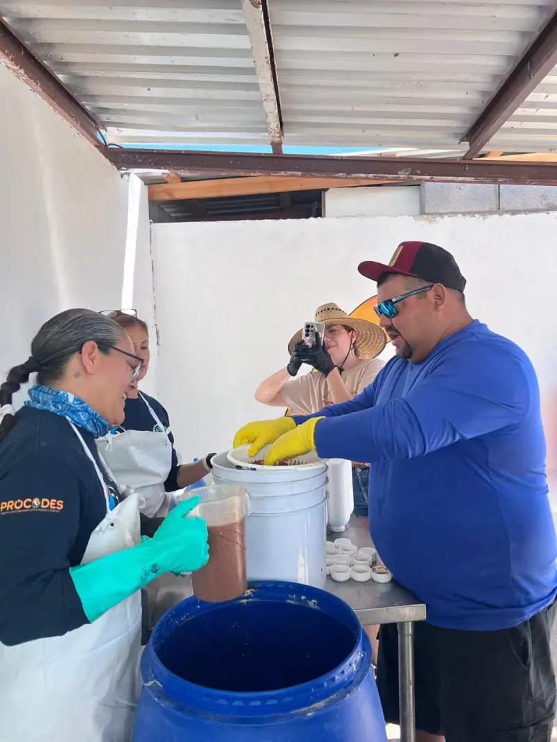 Pescadora enseña a convertir residuos de pescado en fertilizante para reducir la contaminación