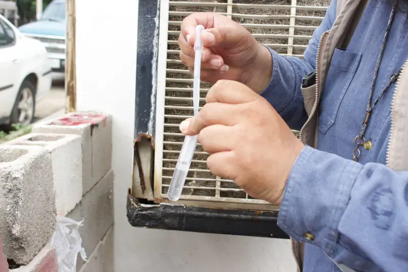 En la Región Norte, sin alertas epidemiológicas tras las lluvias