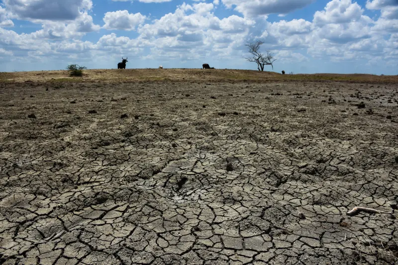 Alerta climática: El fenómeno de “El Niño” podría intensificarse con fuerza a finales de 2026