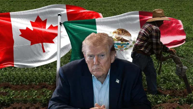 EU propone aranceles de al menos 10% a México y Canadá tras investigación por trabajos forzados