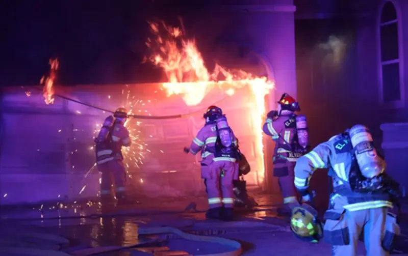 Mueren cuatro perros en incendio al Este del Condado