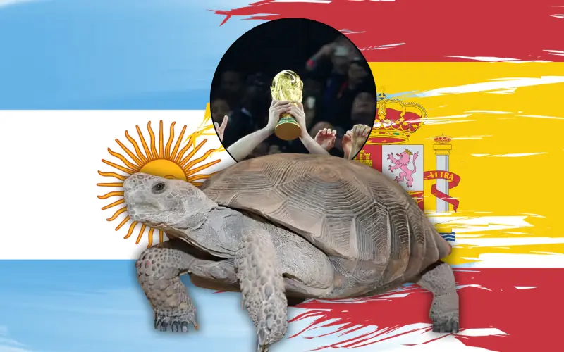 Una tortuga llamada Sonora ya eligió al ganador de la esperada final del Mundial de fútbol 2026: ¿Cuál fue su sorprendente elección?