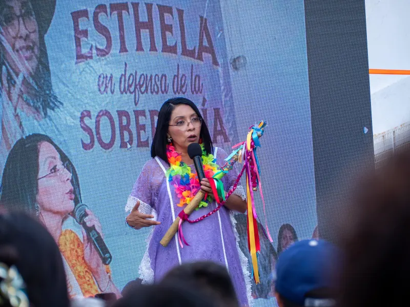 Esthela Damián se disculpa por propaganda colocada sobre fichas de desaparecidos en Acapulco